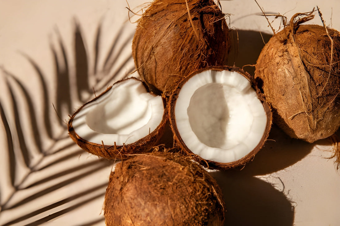 Fresh coconuts, some cut open to show the white meat, with a tropical palm leaf shadow on a light background, symbolizing natural coconut oil