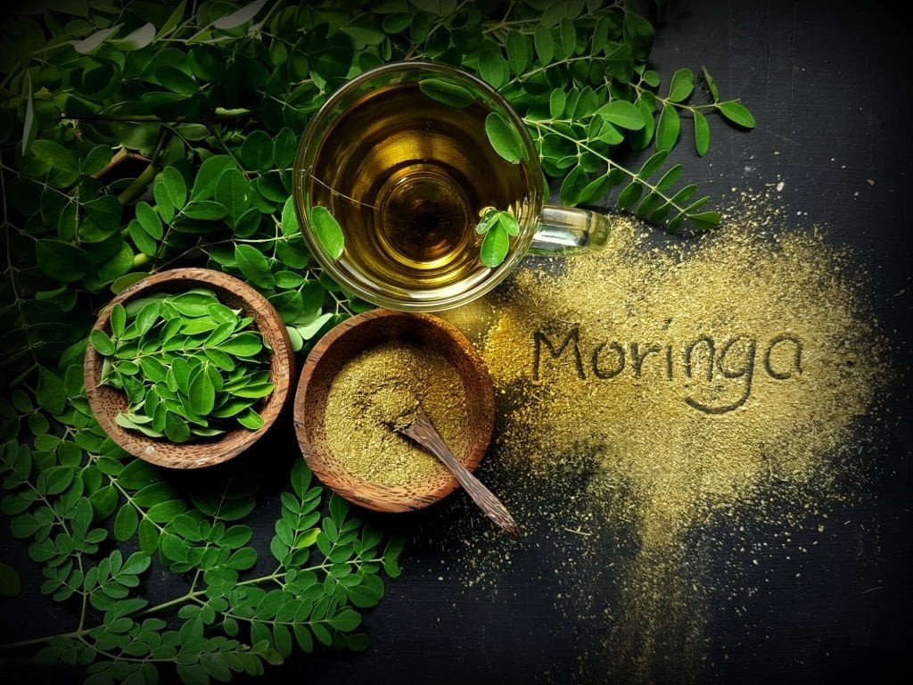 Moringa: The Miracle Tree You Need in Your Life